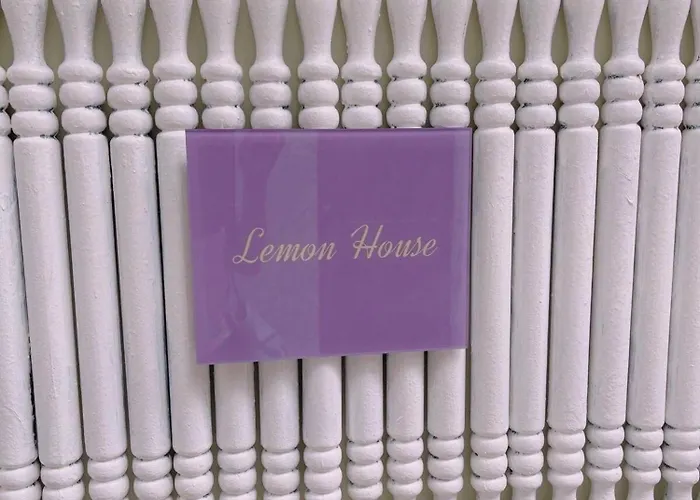 동대문 명동 홍대 성수 강남 Kspo 직행 편의점 도보 1분 조용 레몬하우스 Dongdaemun Myeongdong Hongdae Kspo Lemon House Seoul